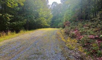 Fox Hollow Dr lot 17, Bastian, VA 24314