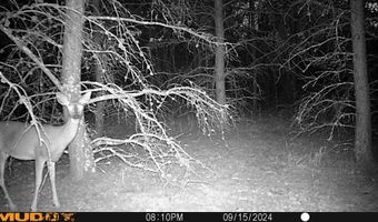 4130 4th St NW, Backus, MN 56435