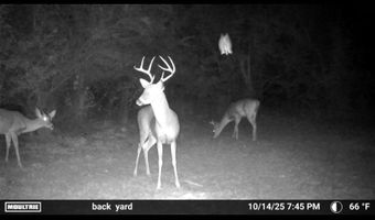 6838 HIGHWAY 167, Bernice, LA 71222
