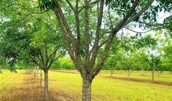 00 Sweat Rd, Alma, GA 31510