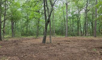 Blume Road lot 9, Alto, TX 75925