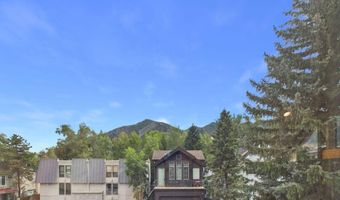 915 E Hopkins Ave 4, Aspen, CO 81611