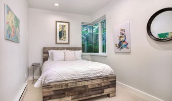 736 W Smuggler St B, Aspen, CO 81611