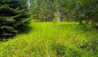 NNA Ginger Ln, Bonners Ferry, ID 83805