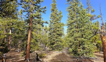 PCS # 7765 & 12057 Rollies Trail lot 0, Alma, CO 80420