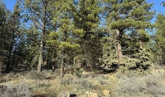 Badger Lane, Bonanza, OR 97623