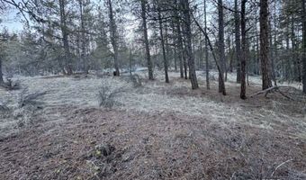 Bobcat Circle, Beatty, OR 97621