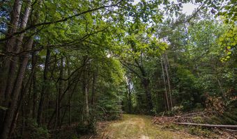 0 Brooksie Thompson Rd, Bath Springs, TN 38311