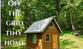253 Davis Hollow Rd, Andes, NY 13731