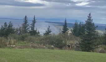 L11 Panoramic Circle, Anchorage, AK 99516