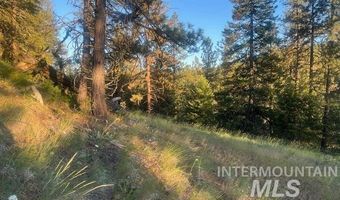 120 Acres Anatone, Anatone, WA 99401