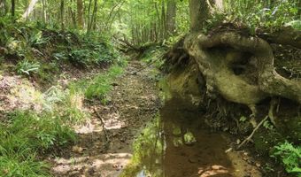0- Lot 8-1 Red House Rd, Appomattox, VA 24522