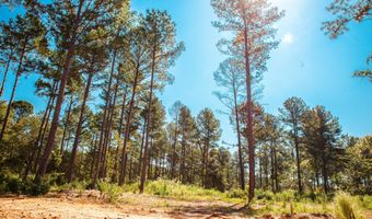 535 Rabbit Pen Dr, Appling, GA 30802