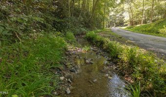 997 Miller Hollow Rd, Bean Station, TN 37708