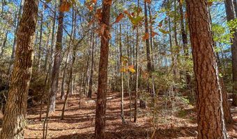 527 Forest Service Rd, Apple Springs, TX 75926