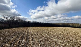 20 Ac. Valley Rd, Argyle, WI 53504