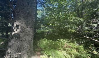 1416 Clif Reynolds Rd 3, Cambridge, VT 05444
