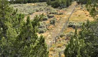 816 Hamilton Stage Rd, Elko, NV 89801