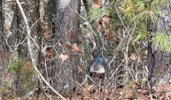 386 NE A, Antlers, OK 74523