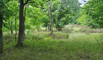 V/L 20AC Monaghan Point Road, Alpena, MI 49707