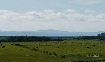 442 Mad River Rd, Arcata, CA 95521