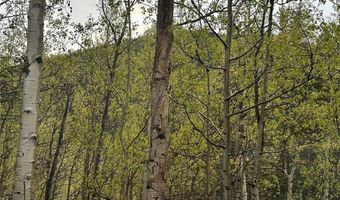 227 Roberts Rd, Alma, CO 80420