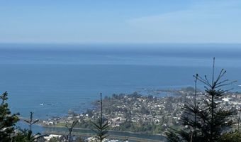 Jodel CT 3, Brookings, OR 97415