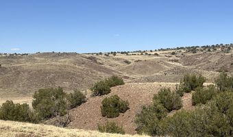 Tbd County Road N5335, Concho, AZ 85924