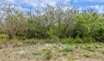 900 N Johnson Street Lot 69 70, Alice, TX 78332