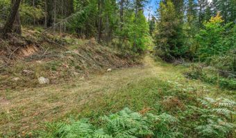 NKA Silver Creek Road, Clark Fork, ID 83811