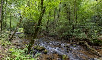 1034 Chestnut Flats Rd, Andrews, NC 28901