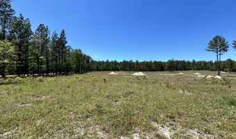 461 Lally Cir, Aberdeen, NC 28315