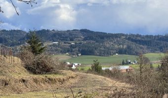 SE Rice Ln, Amity, OR 97101
