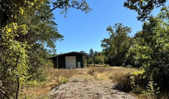 1011 Granny Hollar Rd, Atkins, AR 72823