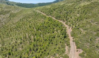 0 1680 NFS Rd, Unity, OR 97884