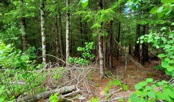 Pioneer Path lot 5, Aurora, ME 04408