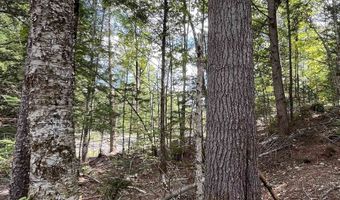 Map 227 Lot 007 Underwood Road, Acworth, NH 03601