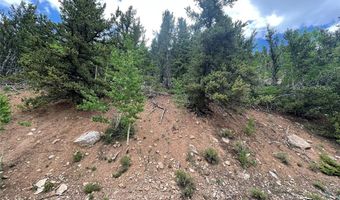 847 COUNTY ROAD 787, Alma, CO 80420