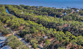 202 Harbor Cir, Alligator Point, FL 32346