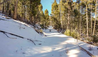 45 Sacramento Dr, Angel Fire, NM 87710