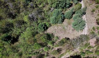 La Grant Road, Alger, MI 48610
