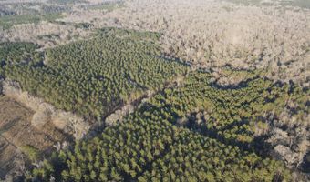 U.S. Highway 51, Bogue Chitto, MS 39629