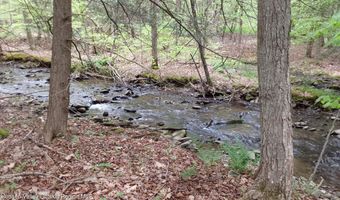 Upper Dingle Hill Road, Andes, NY 13731