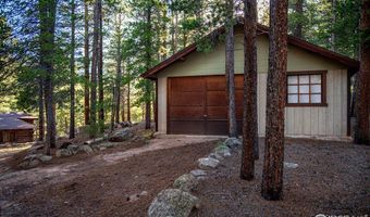1217 Big Owl Rd, Allenspark, CO 80510
