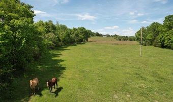 12459 County Road 5-402, Ava, MO 65608