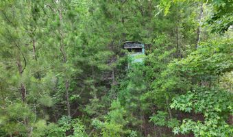 Low Water LN SW, Brookhaven, MS 39601