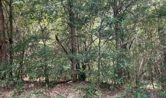 3449 HONEYCUTT Rd Lot 123, Adamsville, AL 35005