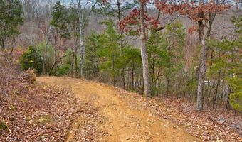 1556 Hollow Springs Rd, Baneberry, TN 37890