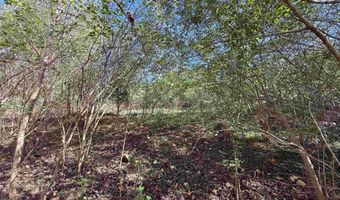 101 Indian Trl, Bald Knob, AR 72010