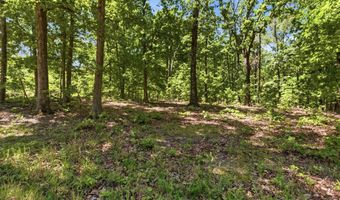 County Road 101, Alton, MO 65606